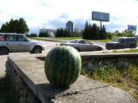 Имя файла=IMG_1730.jpg
Размер файла=72КБ
Размеры=600x450
Дата=Окт 31, 2007 IMG_1730.jpg